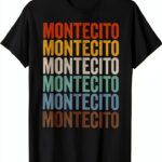 monte carlo simulation