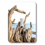 3dRose Interruttore Metallo Mod lsp_229819_1 Lucida 12,5x8,9 cm-0